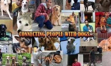 Mr. Simon, Connecting People with Dogs
