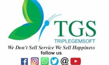 Innovating the Digital Landscape: The Journey of Monika Anand and Triplegemsoft Technical Services