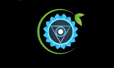 Building Trust Through Healing: Dr. Vishant Rana’s Journey to Becoming a Homeopathic Leader”