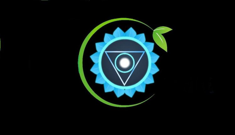 Building Trust Through Healing: Dr. Vishant Rana’s Journey to Becoming a Homeopathic Leader”