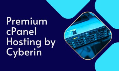 Cyberin Premium cPanel Hosting Is Smart Choice for Businesses in 2025