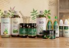 Vanvasi Ayurveda Unveils Holistic Ayurvedic Wellness Range Rooted in Nature's Wisdom